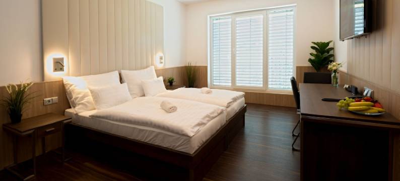 巴托斯酒店(Hotel Bartoš)图片