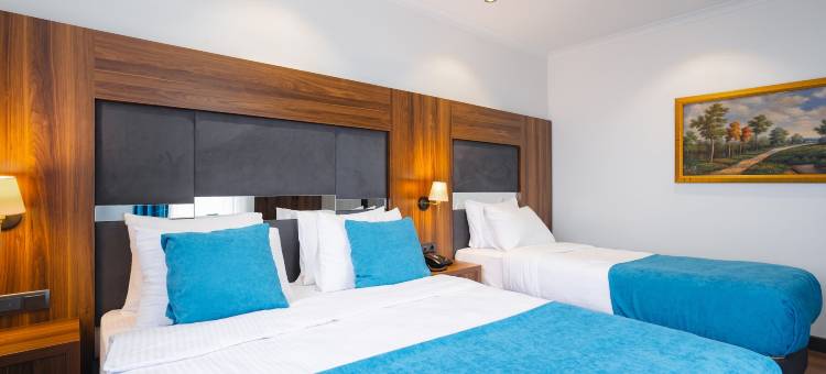 特拉布宗柏林套房酒店(BERLİN SUITE HOTEL)图片