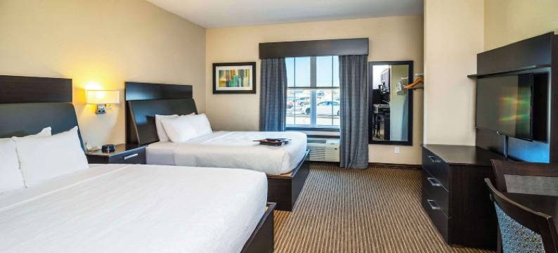 凯艺套房酒店(Quality Inn & Suites)图片