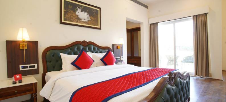 斯普里度假村萨里斯卡(Spree Resort Sariska)图片