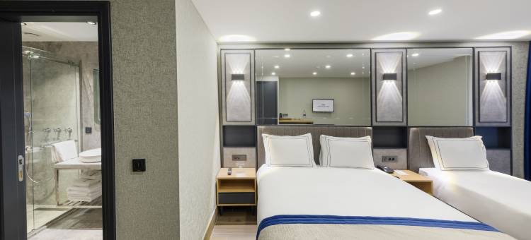 Ahg阿特拉斯塔克西姆酒店(AHG Atlas Hotel Taksim)图片