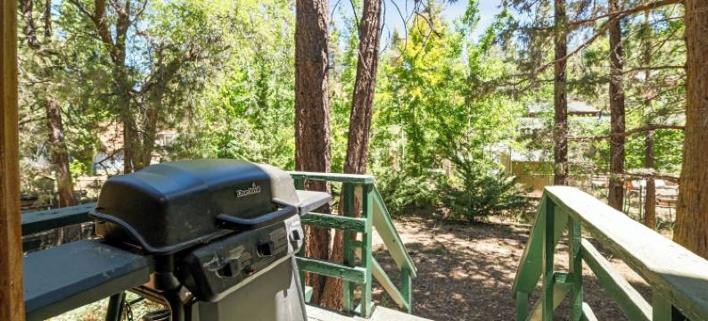 阿尔卑斯小屋(Alpine Haus)图片