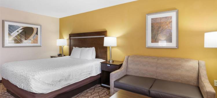 贝尔米德贝斯特韦斯特优质套房酒店(Best Western Plus Belle Meade Inn  Suites)图片