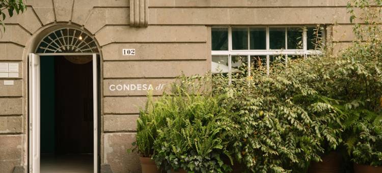 DF康德萨，Design Hotels™设计酒店成员(Condesa df, Mexico City, a Member of Design Hotels)图片