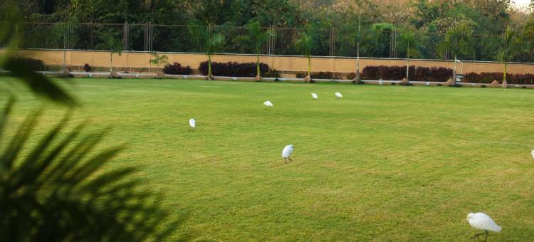 Jagira Ananta Elite Gir图片