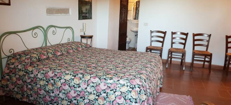 龙迪内利农庄酒店(Agriturismo Bio I Rondinelli)图片