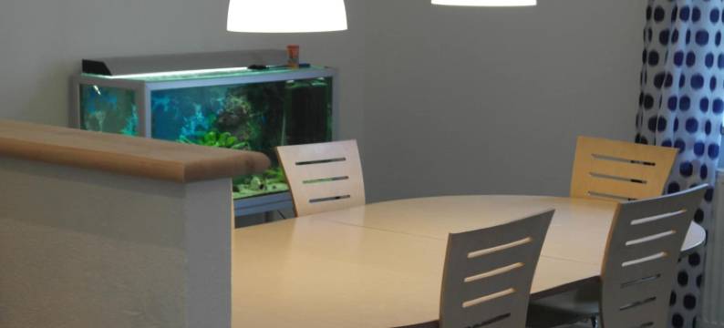 瑞因斯伦德住宿加早餐旅馆(Ringslund B&B)图片