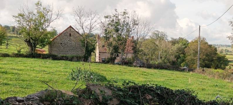 克里斯蒂娜·斯库夫莱尔(Christine Scuflaire)图片