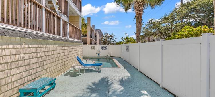 岛屿棕榈(Island palms)图片