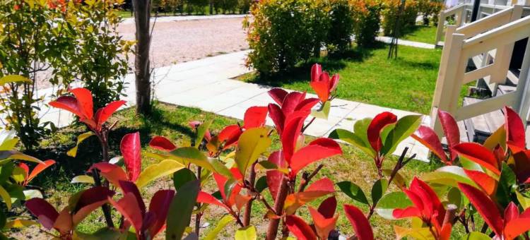 MCM营舍(MCM Camping)图片