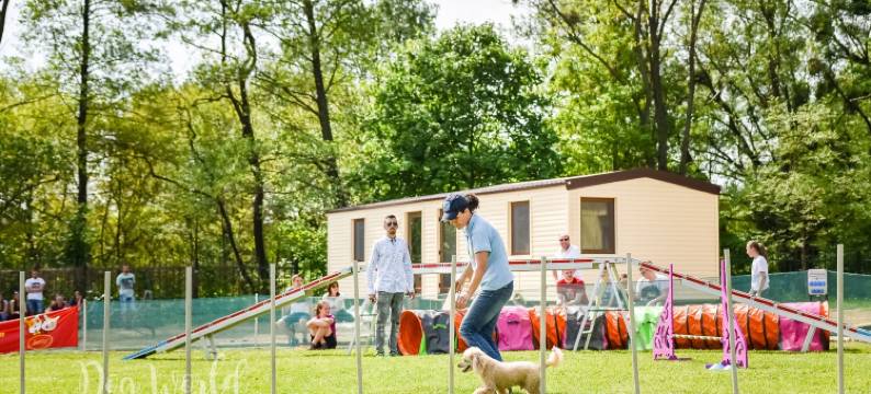 酒店与餐厅度假村 Barca - 营地(Holiday Houses Barca)图片