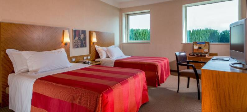 阿普里利亚宜能酒店(Enea Hotel Aprilia)图片