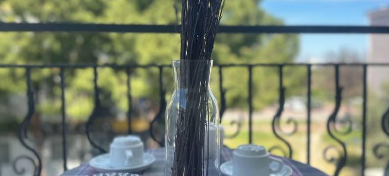 宁静套房酒店(Serenity Suit Hotel)图片