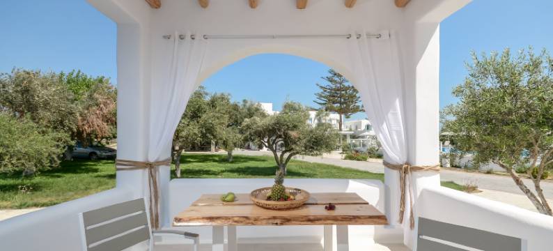 纳索斯自然套房酒店(Naxos Nature Suites)图片