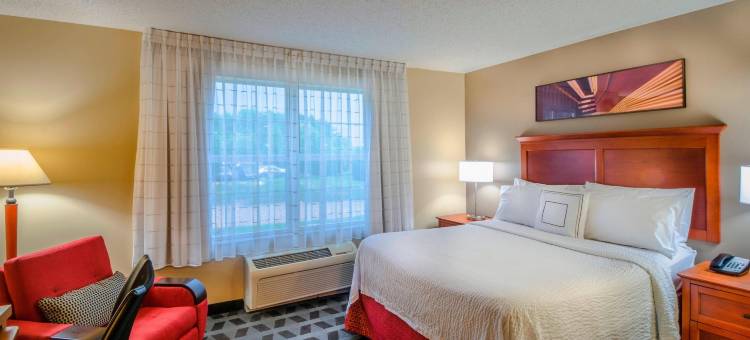 巴尔的摩华盛顿国际机场万豪TownePlace酒店(TownePlace Suites Baltimore BWI Airport)图片