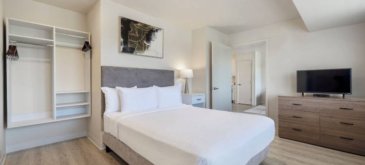 Soka套房达拉斯 - 拉斯科林纳斯(Soka Suites Dallas - Las Colinas)图片