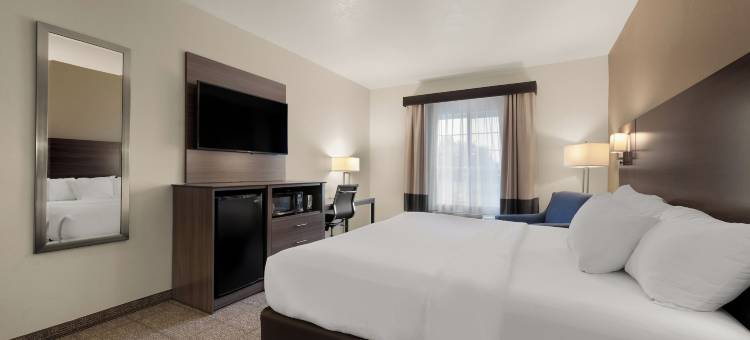 舒适套房旅馆(Comfort Inn & Suites)图片