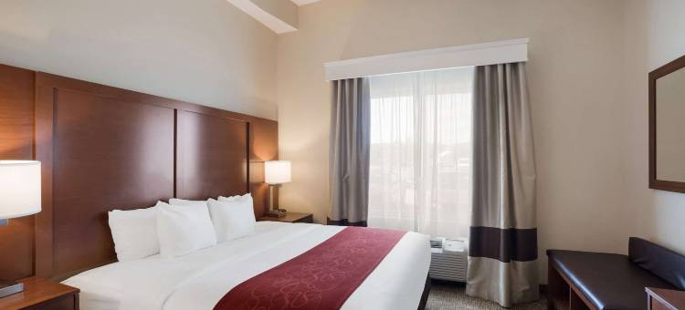 萨福克舒适套房酒店-切萨皮克(Comfort Suites Suffolk - Chesapeake)图片