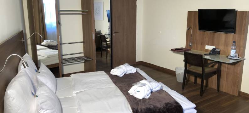 伊森比特尔酒店(Hotel Isenbütteler Hof)图片