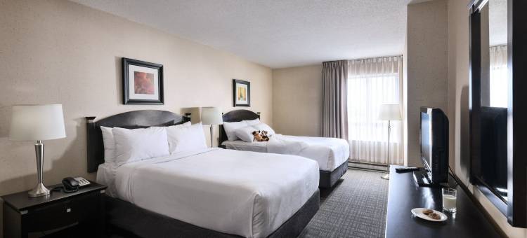 渥太华套房酒店(Les Suites Hotel Ottawa)图片