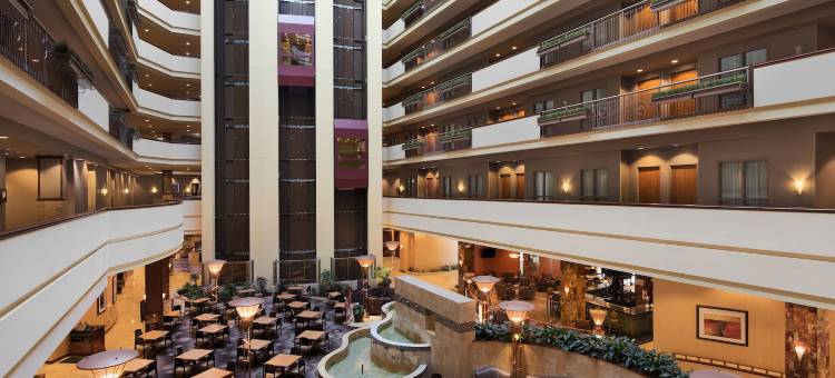 达拉斯弗赖拉辛希尔顿安泊水疗酒店&会议中心(Embassy Suites by Hilton Dallas Frisco Hotel & Convention Center)图片