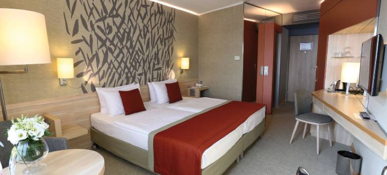 恩萨纳温泉水酒店(Ensana Thermal Aqua)图片