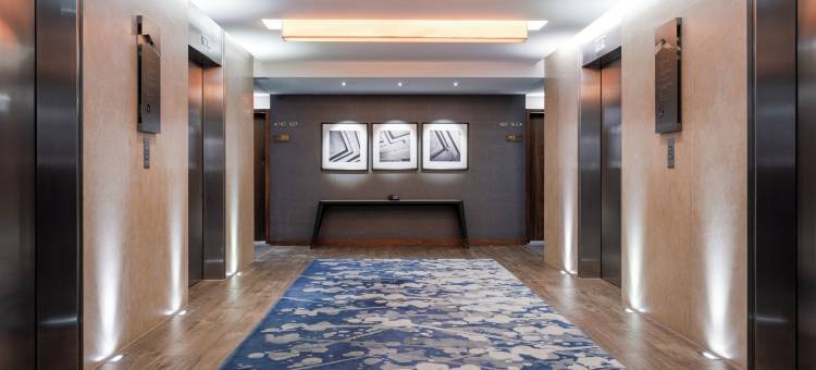 墨西哥城圣达菲希尔顿酒店(Hilton Mexico City Santa Fe)图片