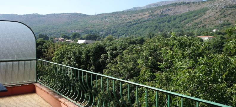 普罗乐酒店(Hotel le Préjoly)图片