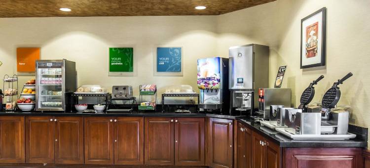 拉斯维加斯亨德森舒适套房酒店(Comfort Inn & Suites Henderson - Las Vegas)图片