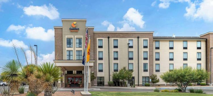 卡尔斯巴德舒适套房酒店(Comfort Suites Carlsbad)图片