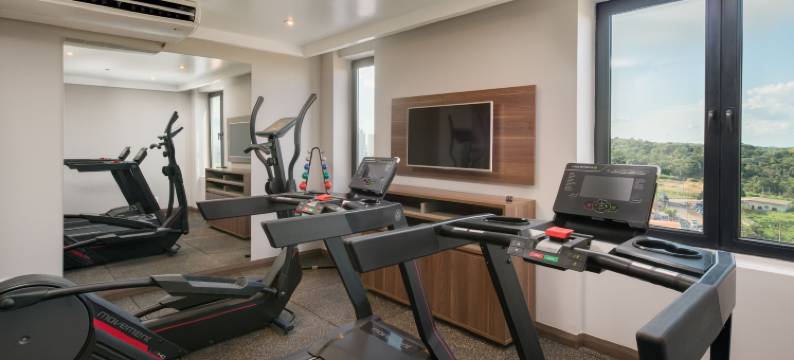 Linx Confins by Wish图片