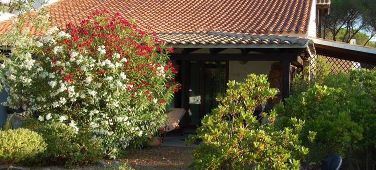 劳格诺多罗俱乐部酒店(Hotel Club Ragno d'Oro)图片