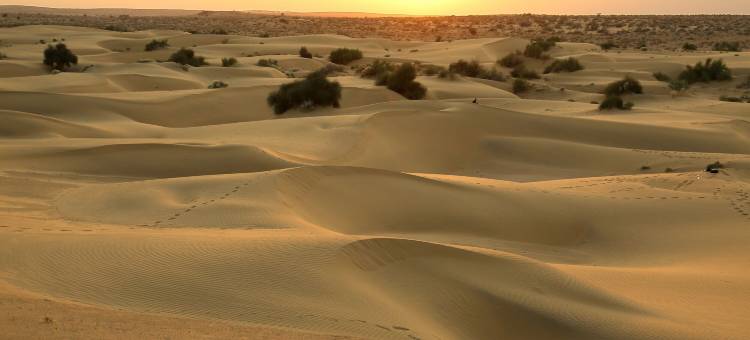 桑格朗沙漠露营酒店(Sangram Desert Camp)图片
