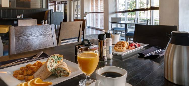 底特律大都会机场假日酒店(Holiday Inn Detroit Metro Airport)图片