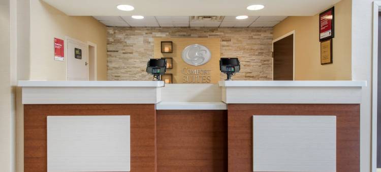 拉斐特大学区舒适套房酒店(Comfort Suites Lafayette University Area)图片