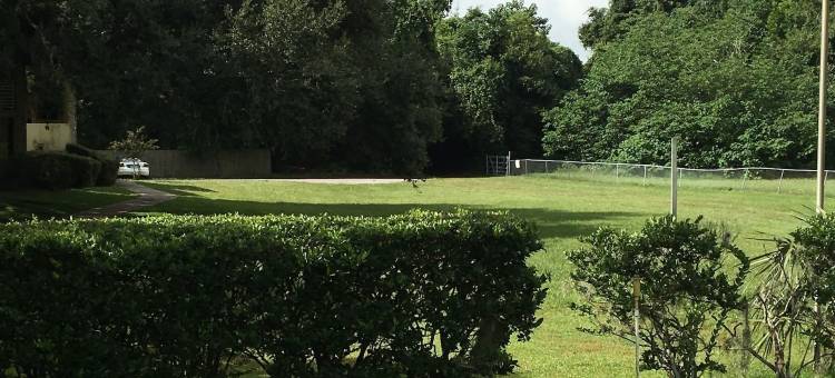 佛罗里达奥卡拉 6 号开放式客房(Studio 6 Ocala, FL)图片