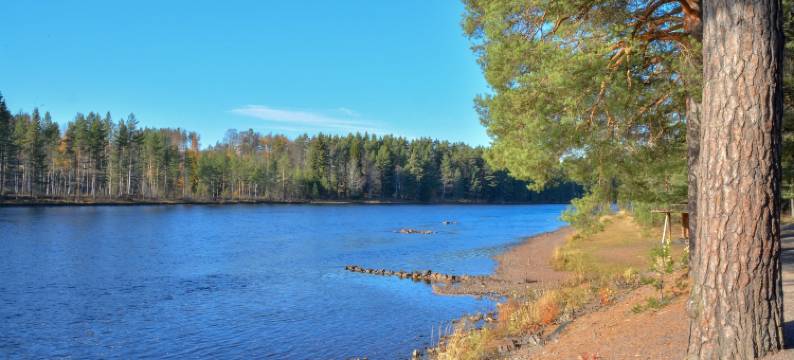 艾尔夫达伦露营酒店(Älvdalens Camping)图片