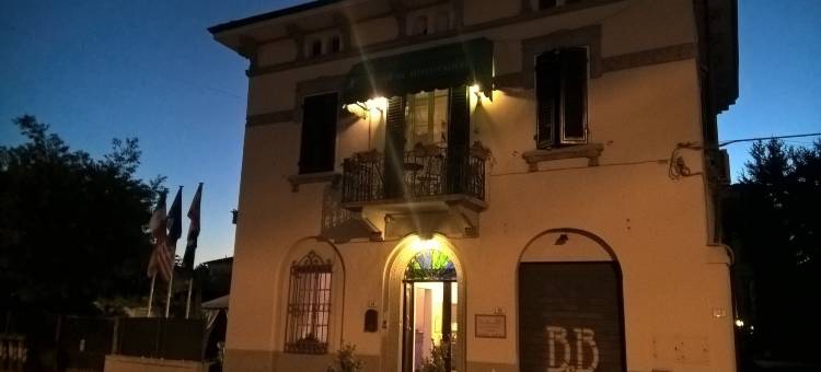 含羞草 B & B(B&B la Mimosa)图片