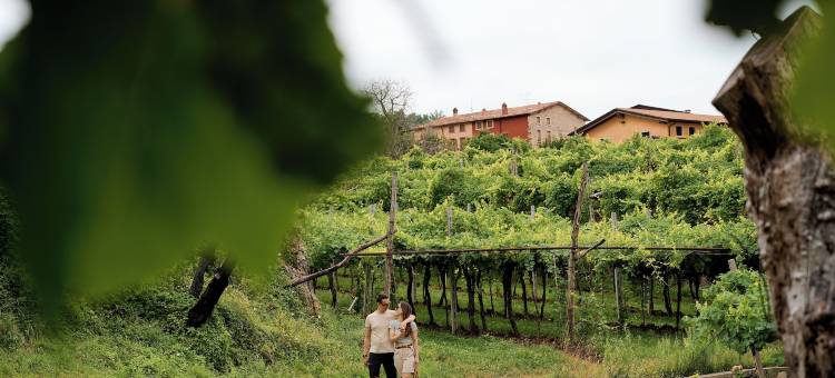 拉比格尼乐 - 阿洛基欧农庄酒店(Le Bignele - Alloggio Agrituristico)图片