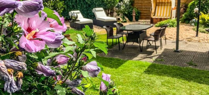 维尼豪斯西蒙莫塞尔酒店(Moselhotel Weinhaus Simon)图片