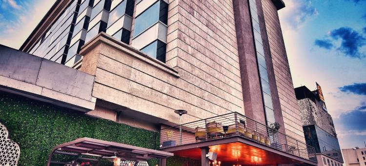 齐普尔丽笙酒店(Radisson Blu Jaipur)图片