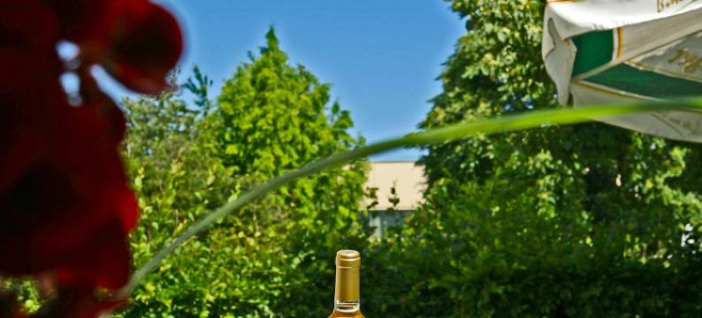 里安德酒店(Hotel Leander)图片