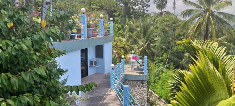 高台阶别墅(High Steps Pension)图片