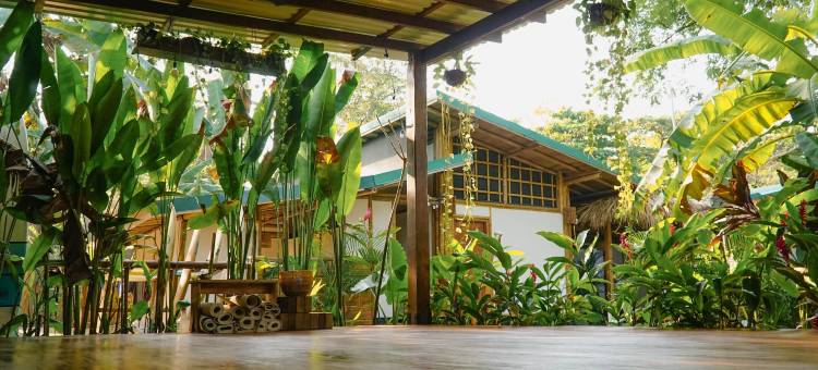 圣特雷莎梦想冲浪之家(Dream Surf House Santa Teresa (Playa Hermosa))图片