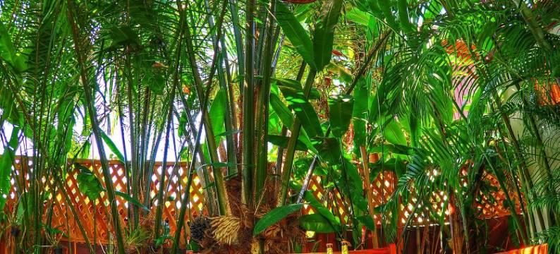 莲花别墅酒店(Lotus Villa)图片