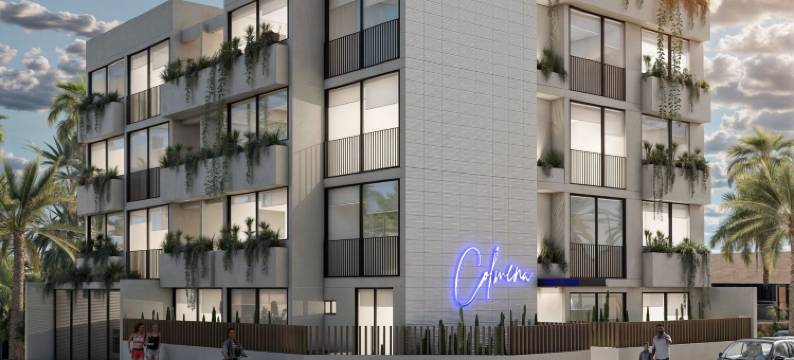 科尔梅纳马里纳卡波(Colmena Marina Cabos)图片