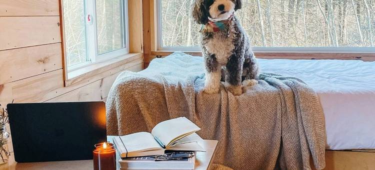 明信片小屋圣弗朗索瓦，万豪旅享家户外系列(Postcard Cabins St. Francois)图片