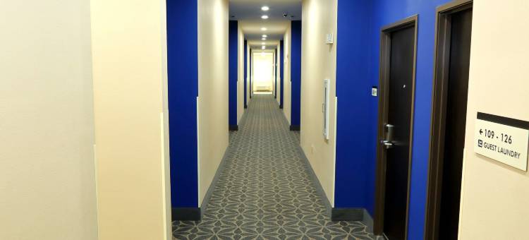 普雷里维尔美洲最佳价值套房酒店(Americas Best Value Inn and Suites Prairieville)图片