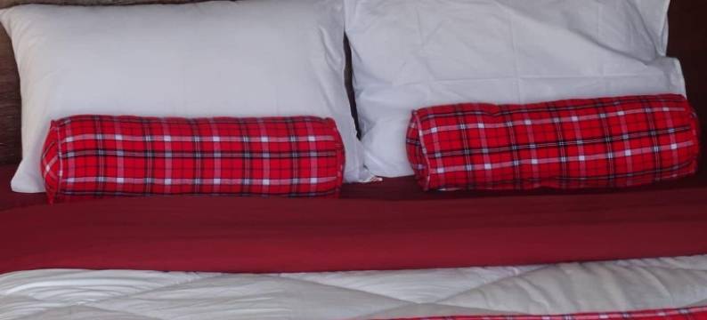 埃马伊安宾馆(Emayian Geust House)图片