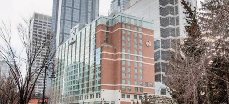 卡尔加里克莱里喜来登套房酒店(Sheraton Suites Calgary Eau Claire)图片